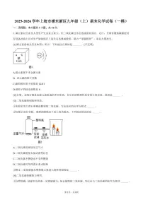 2025-2026学年上海市浦东新区九年级（上）期末化学试卷（一模）（含答案）