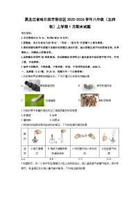 2025-2026学年黑龙江省哈尔滨市香坊区八年级（五四制）上学期1月期末化学试卷（学生版）