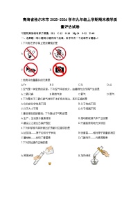 2025-2026学年青海省格尔木市九年级上学期期末教学质量评估化学试卷（学生版）