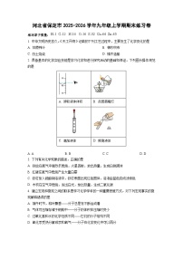 2025-2026学年河北省保定市九年级上学期期末练习卷化学试卷（学生版）