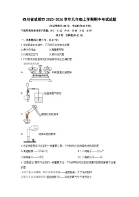 2025-2026学年四川省成都市九年级上学期期中考试化学试卷（学生版）