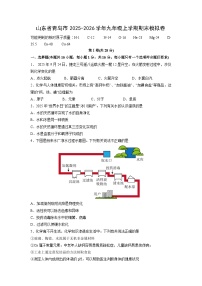 2025-2026学年山东省青岛市九年级上学期期末模拟卷化学试卷（学生版）