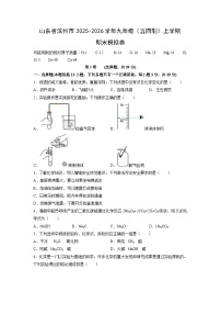 2025-2026学年山东省滨州市九年级（五四制）上学期期末模拟卷化学试卷（学生版）
