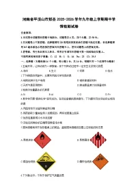 2025-2026学年河南省平顶山市郏县九年级上学期期中学情检测化学试卷（学生版）