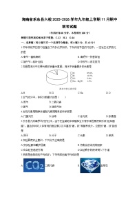 2025-2026学年海南省乐东县六校九年级上学期11月期中联考化学试卷（学生版）