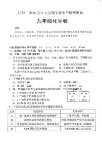广东省深圳市光明区2025-2026学年九年级上学期期末考试化学试题