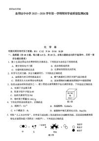 广东省深圳市龙华区2025-2026学年九年级上学期期末考试化学试卷