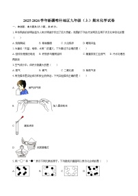 2025-2026学年新疆喀什地区九年级（上）期末化学试卷-自定义类型