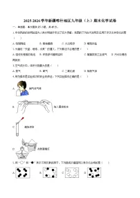 2025-2026学年新疆喀什地区九年级（上）期末化学试卷-自定义类型