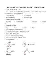 2025-2026学年四川省绵阳市平武县九年级（上）期末化学试卷-自定义类型