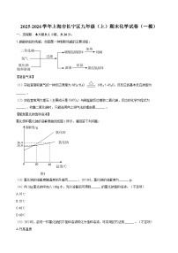 2025-2026学年上海市长宁区九年级（上）期末化学试卷（一模）-自定义类型