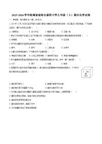 2025-2026学年海南省琼海市嘉积中学九年级（上）期末化学试卷-自定义类型