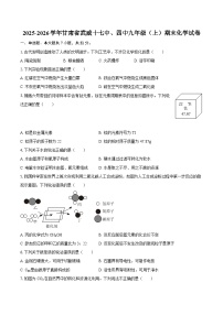 2025-2026学年甘肃省武威十七中、四中九年级（上）期末化学试卷-自定义类型
