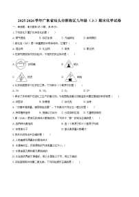 2025-2026学年广东省汕头市澄海区九年级（上）期末化学试卷-自定义类型