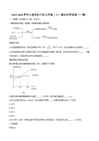 2025-2026学年上海市长宁区九年级（上）期末化学试卷（一模）（含答案+解析）