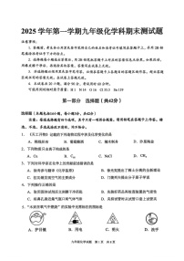 广州市番禺区2025-2026学年九年级上学期期末测试化学试题（含答案）