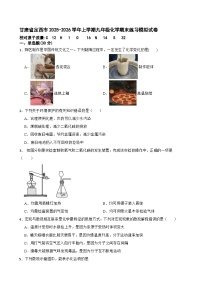 甘肃省定西市2025-2026学年上学期九年级化学期末练习模拟试卷