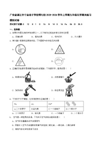 广东省湛江市寸金培才学校等七校2025-2026学年上学期九年级化学期末练习模拟试卷
