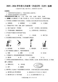 重庆市大渡口区2025-2026学年九年级上学期期末考试化学试卷