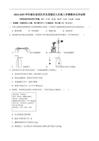2024-2025学年湖北省武汉市东西湖区九年级上学期期末考试化学试卷(有（有答案)