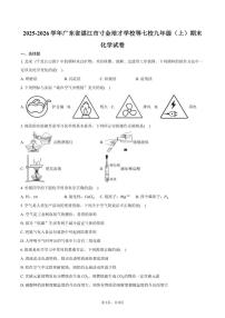 2025-2026学年广东省湛江市寸金培才学校等七校九年级（上）期末化学试卷（有答案）