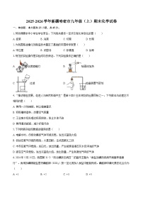 2025-2026学年新疆哈密市九年级（上）期末化学试卷-自定义类型