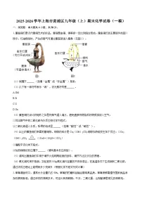 2025-2026学年上海市黄浦区九年级（上）期末化学试卷（一模）-自定义类型