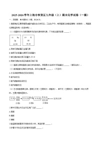 2025-2026学年上海市奉贤区九年级（上）期末化学试卷（一模）-自定义类型