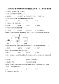 2025-2026学年湖南省株洲市醴陵市九年级（上）期末化学试卷-自定义类型