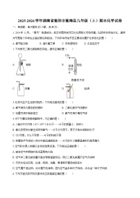 2025-2026学年湖南省衡阳市衡南县九年级（上）期末化学试卷-自定义类型
