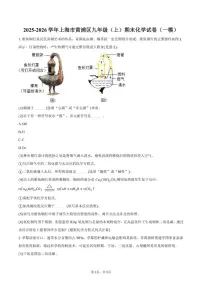 2025-2026学年上海市黄浦区九年级（上）期末化学（一模）试卷（含答案）
