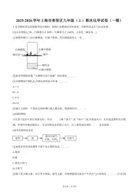 2025-2026学年上海市奉贤区九年级（上）期末化学（一模）试卷（含答案）