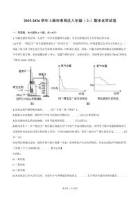 2025-2026学年上海市奉贤区八年级（上）期末化学试卷（含答案）