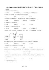 2025-2026学年湖南省株洲市醴陵市九年级（上）期末化学试卷（含答案）