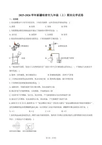 2025-2026学年新疆哈密市九年级（上）期末化学试卷（含答案）
