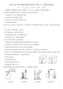 2024-2025安徽省九年级上学期化学期末试卷（3份）