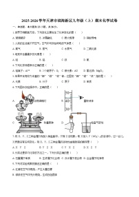 2025-2026学年天津市滨海新区九年级（上）期末化学试卷-自定义类型