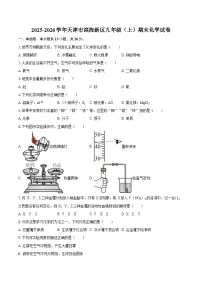 2025-2026学年天津市滨海新区九年级（上）期末化学试卷-自定义类型