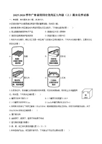 2025-2026学年广东省深圳市龙岗区九年级（上）期末化学试卷-自定义类型