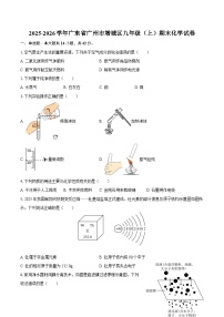 2025-2026学年广东省广州市增城区九年级（上）期末化学试卷-自定义类型