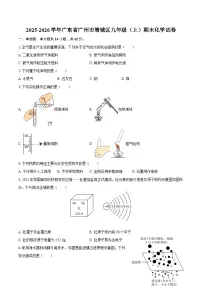 2025-2026学年广东省广州市增城区九年级（上）期末化学试卷-自定义类型