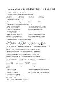 2025-2026学年广东省广州市番禺区九年级（上）期末化学试卷-自定义类型