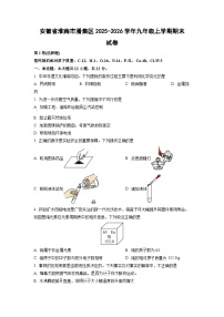 2025-2026学年安徽省淮南市潘集区九年级上学期期末化学试卷（学生版）