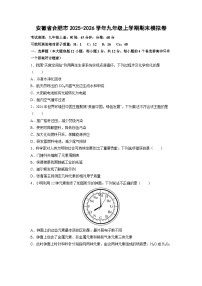 2025-2026学年安徽省合肥市九年级上学期期末模拟卷 化学试卷（学生版）