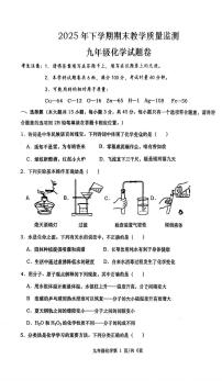 湖南省常德澧县2025-2026学年九年级上学期期末考试化学试卷