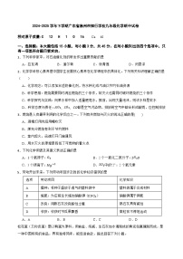 2024-2025学年下学期广东省惠州市知行学校九年级化学期中试卷