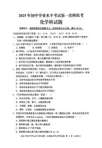 2025年广东省揭阳市揭东区中考一模化学试卷