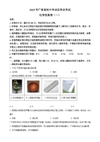 2025年广东省东莞市南城开心实验学校中考一模化学试题-A4