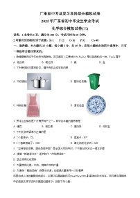 广东省茂名市高州市九年级下学期期中化学试题-A4
