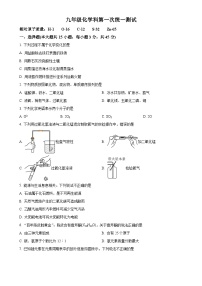 广东省阳江市第一中学实验学校九年级下学期第一次月考化学试题-A4